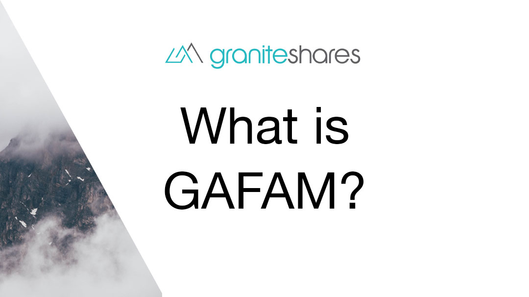 GAFAM Stocks