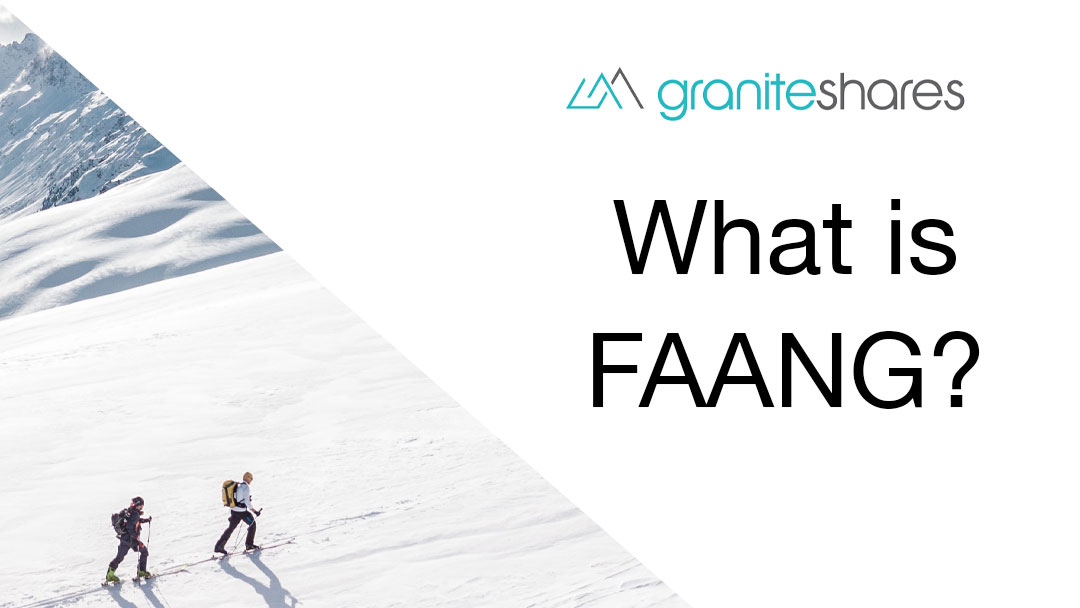What Is FAANG? [Stock & ETF Overview]