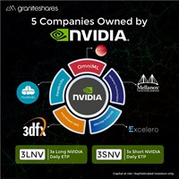Five Companies Owned by Nvidia
