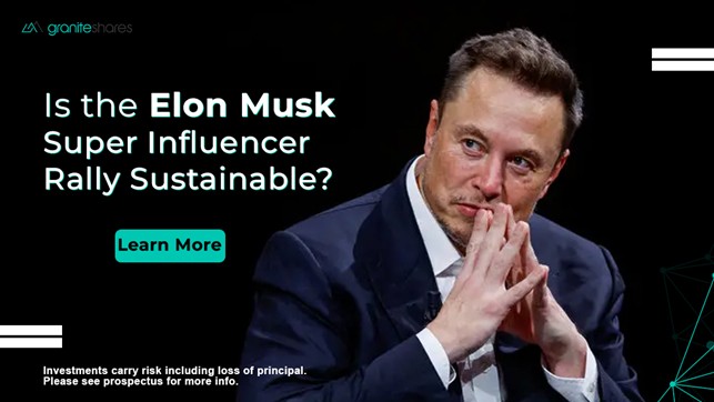 Is the Elon Musk Super Influencer Rally Sustainable