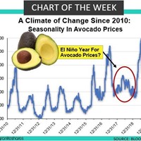 Climate and Avocado Prices: Chart of the Week