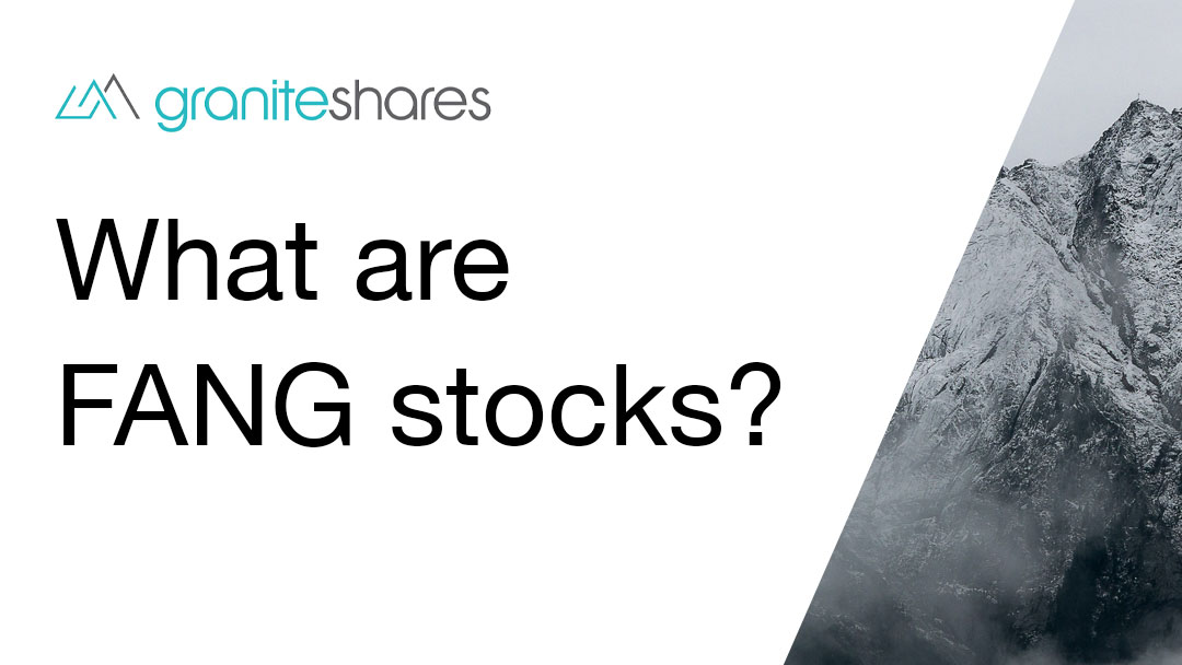 What Are FANG Stocks? [Definition & FAQ]