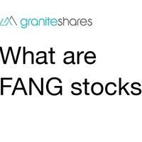 What Are FANG Stocks? [Definition & FAQ]