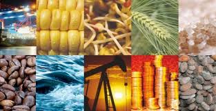 Commodities & Precious Metals Weekly Report: Nov 18