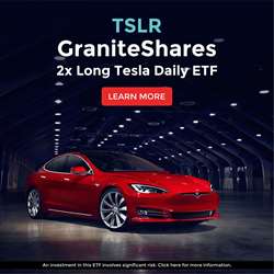 Graniteshares 2X Long Tesla Daily ETF Web