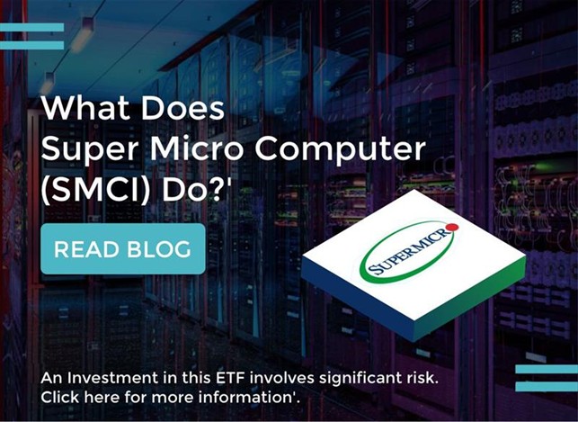 What Does Super Micro Computer (SMCI) DO?